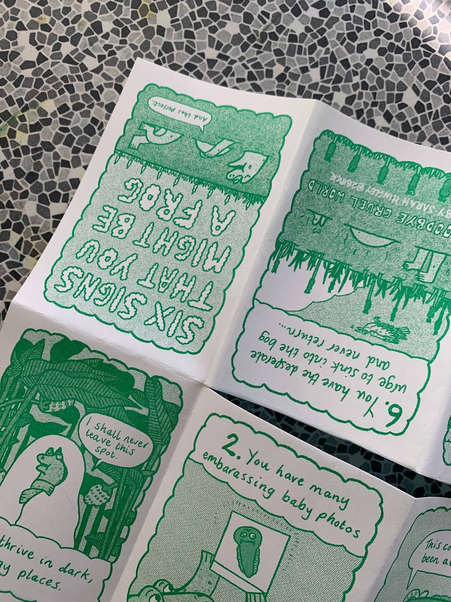 Six Signs You Might Be A Frog Riso Zine A7 MIXED COLOURS