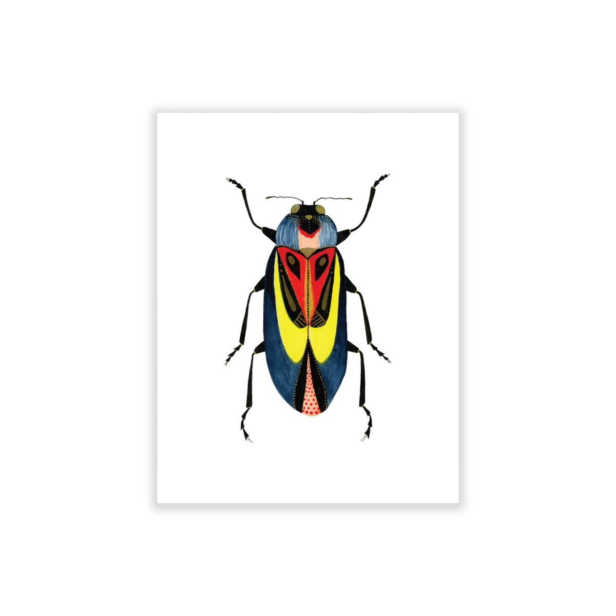 Bugs & Butterflies: Series 1, Boxed Set of 8 Note Cards, 2 each of 4 designs