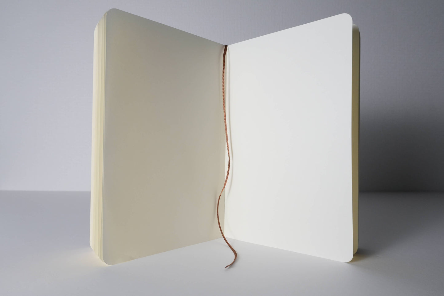 Artist Note Book Wisteria and Swallow /(5.31 in × 8.27 in)