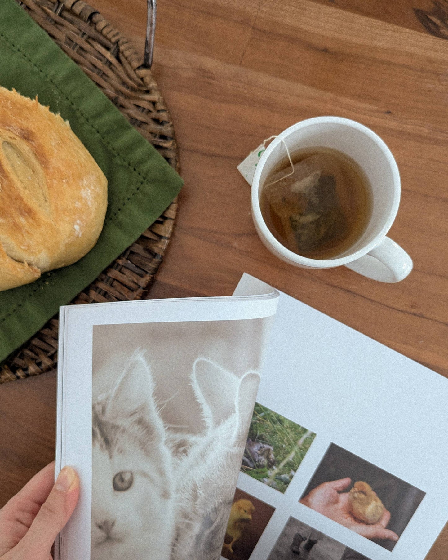 Cut + Paste: "Nurture" - Issue 15