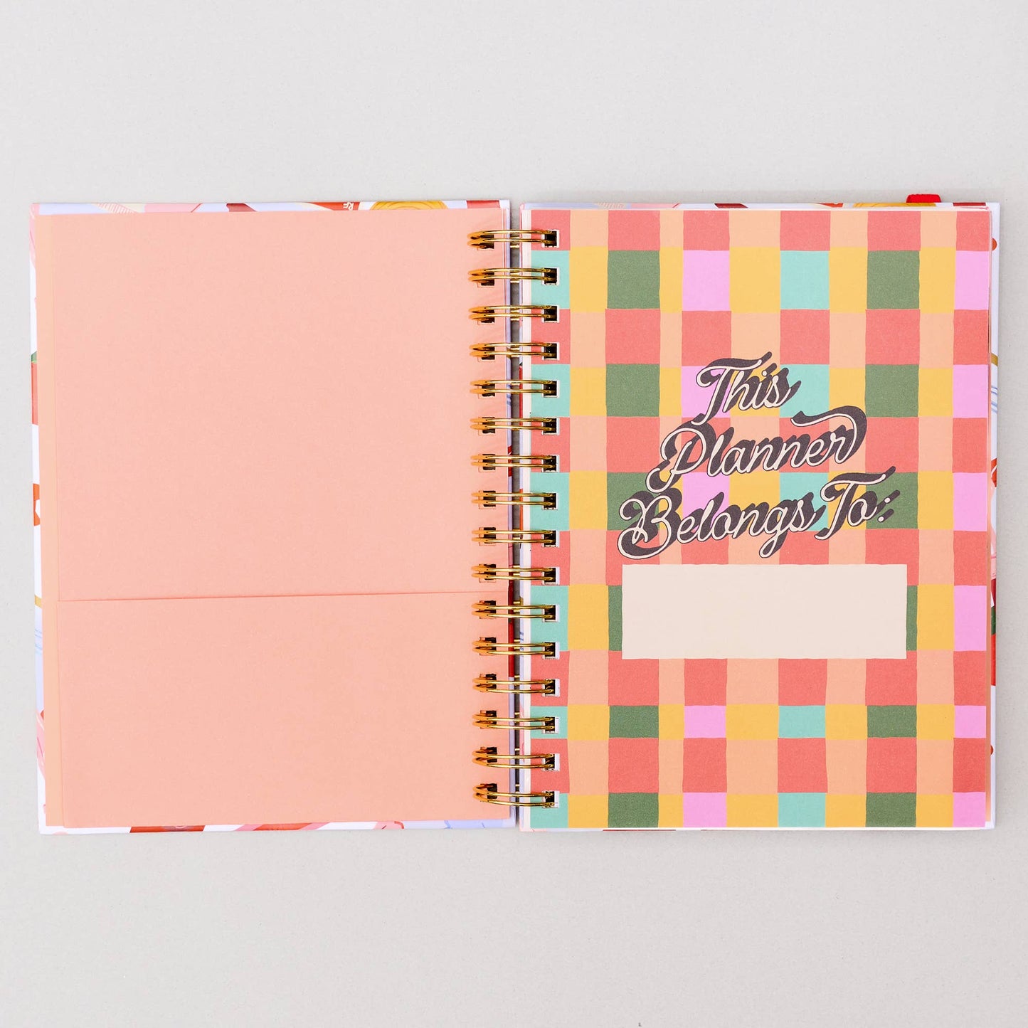 Medium 17-Month Academic Planner, Icons