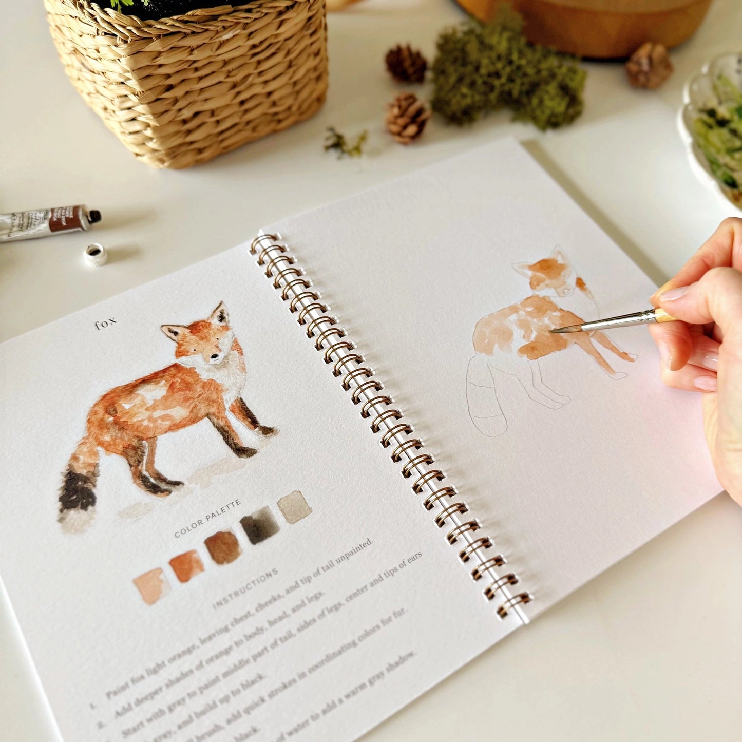 Woodlands Watercolor Workbook