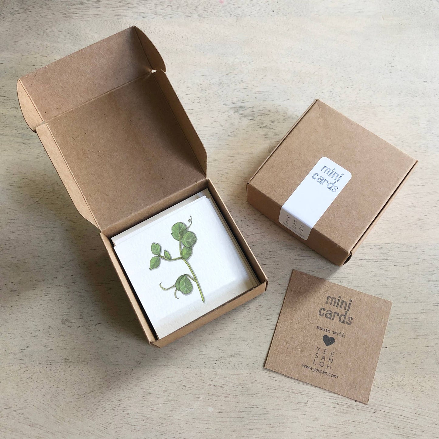 Mini Cards Set / Vegetables . Sprouts & Microgreens