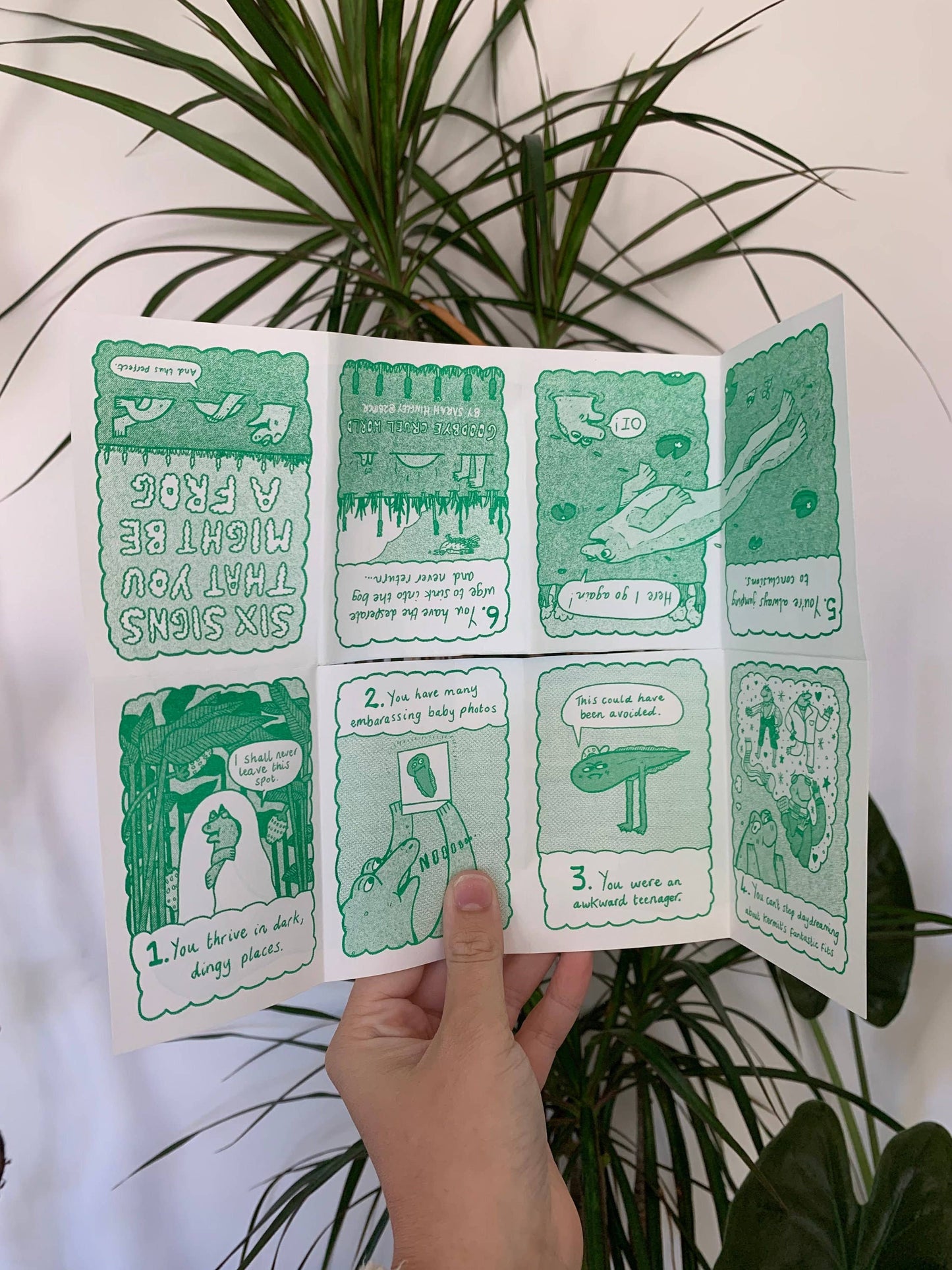 Six Signs You Might Be A Frog Riso Zine A7 MIXED COLOURS