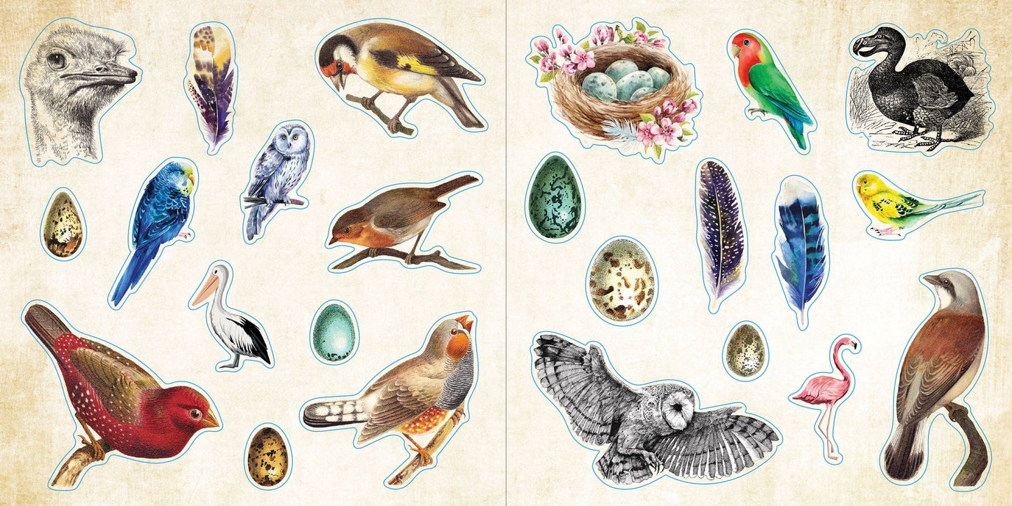 Loads of Ephemera! Sticker Book,Loads of Ephemera! Sticker Book