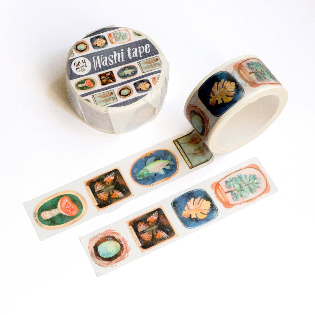 Washi Tape — Museum