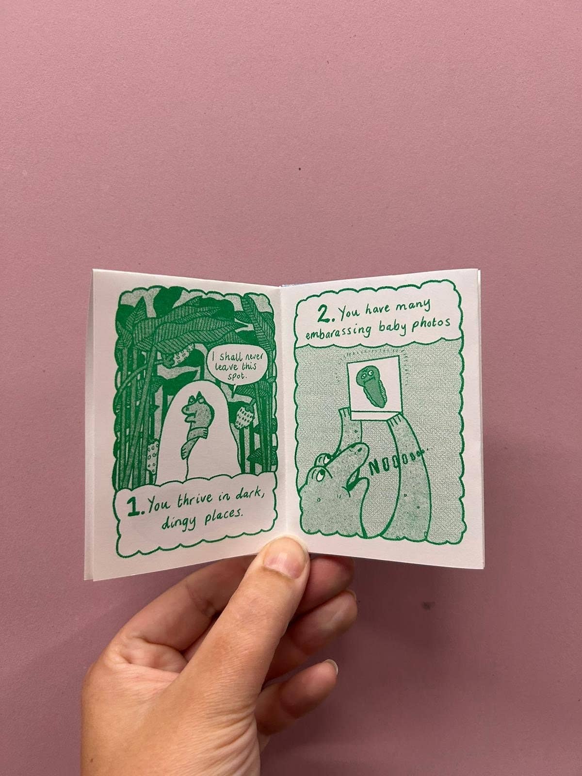 Six Signs You Might Be A Frog Riso Zine A7 MIXED COLOURS