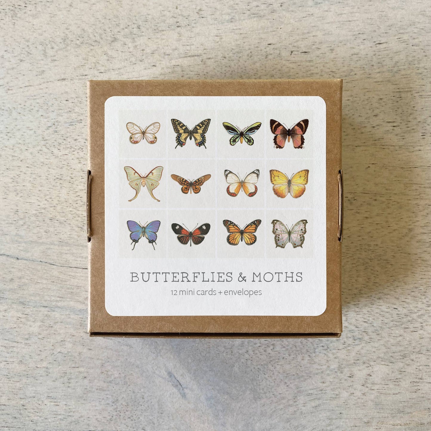 Mini Cards Set / Butterflies & Moths