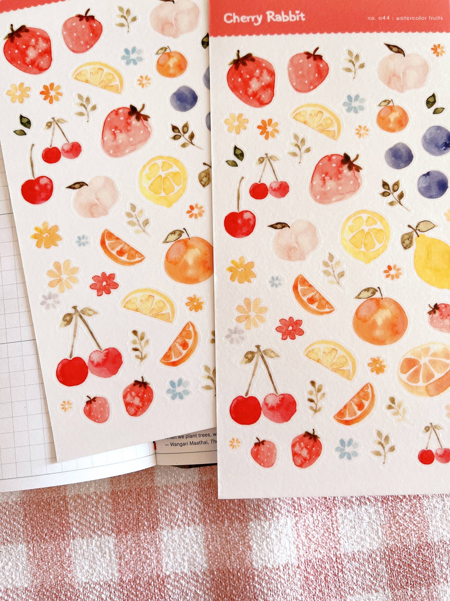 Watercolor Fruits Sticker Sheet no.044