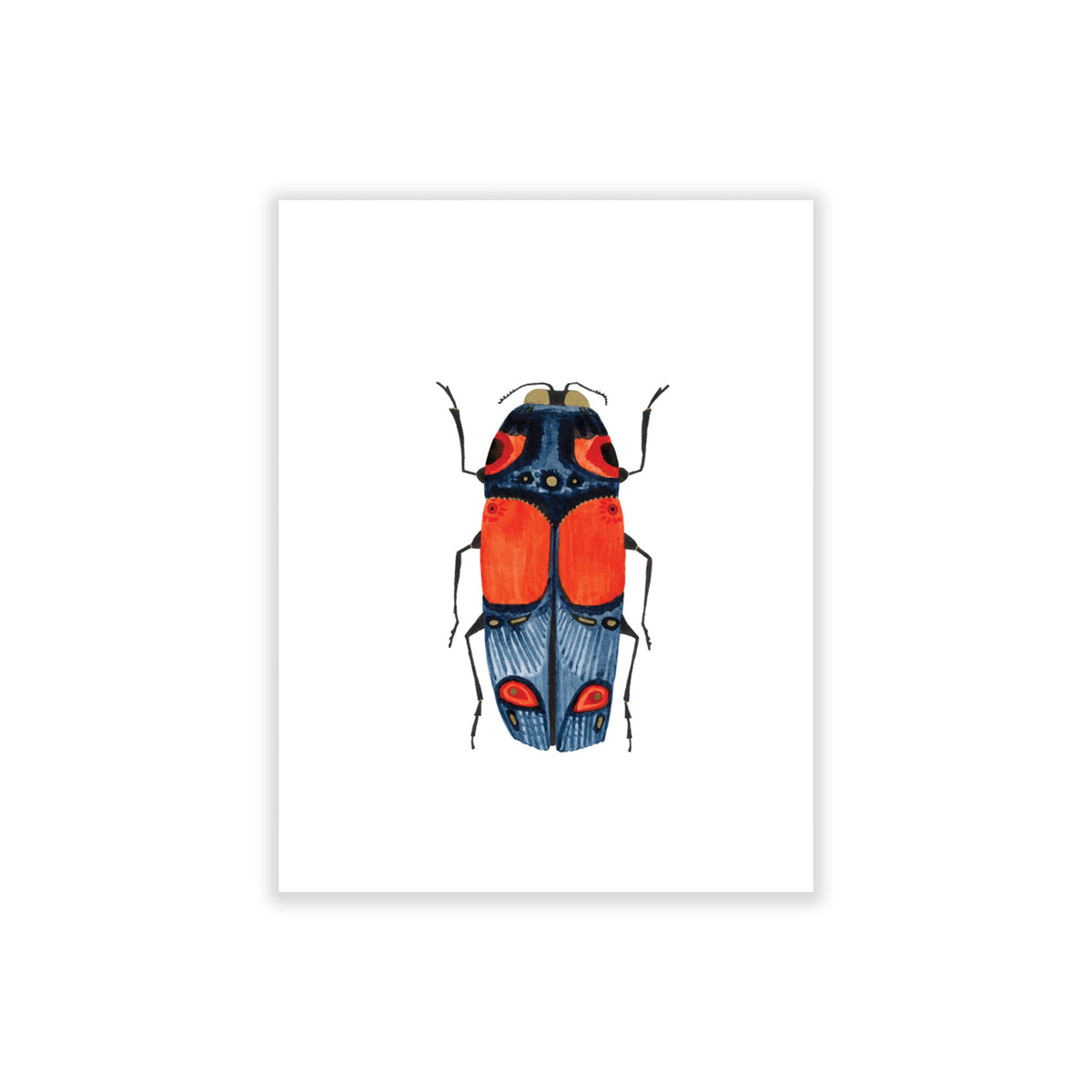 Bugs & Butterflies: Series 1, Boxed Set of 8 Note Cards, 2 each of 4 designs