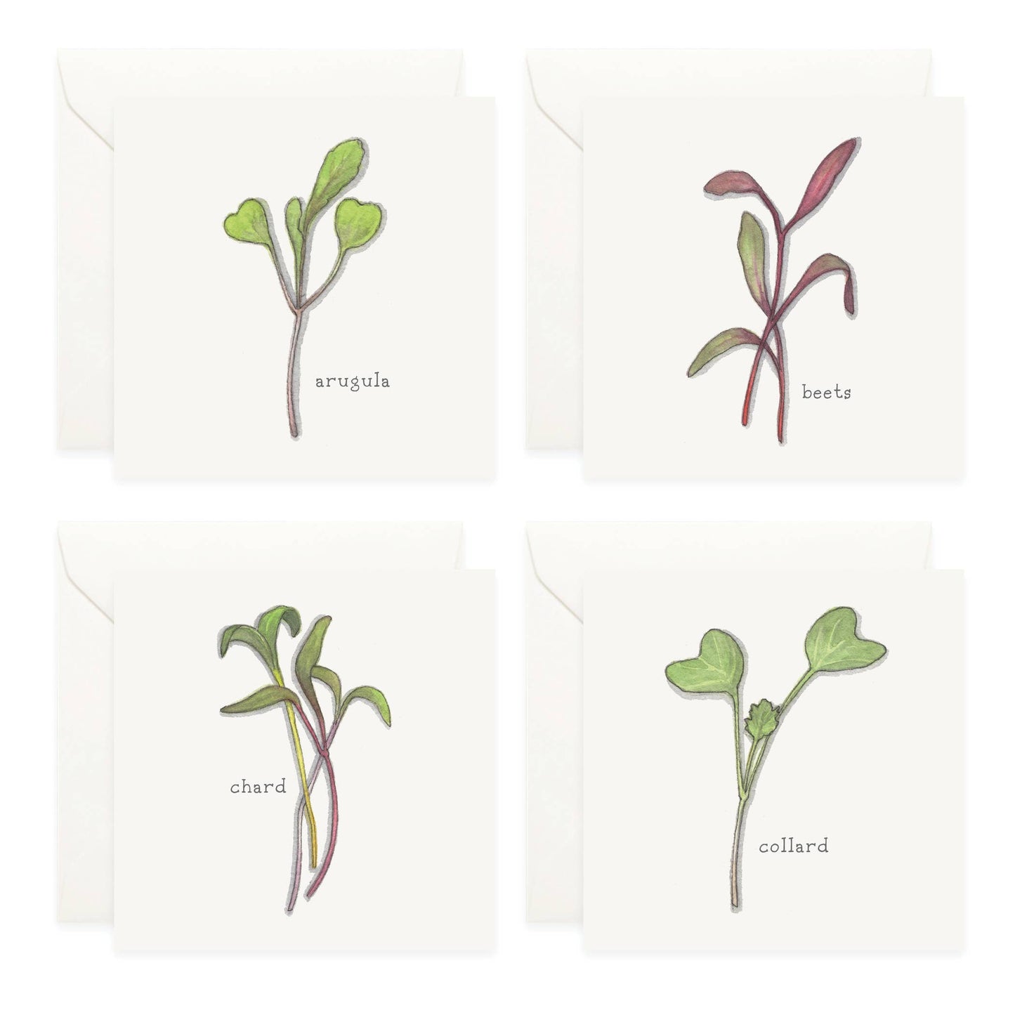 Mini Cards Set / Vegetables . Sprouts & Microgreens