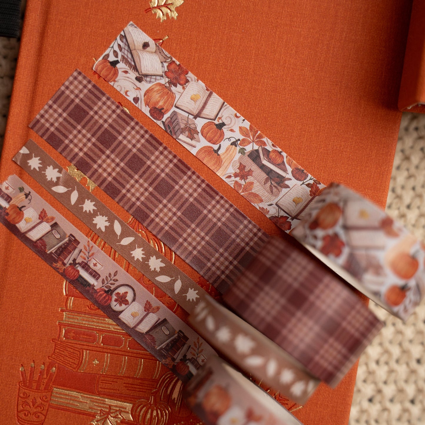 Reading Season | Washi