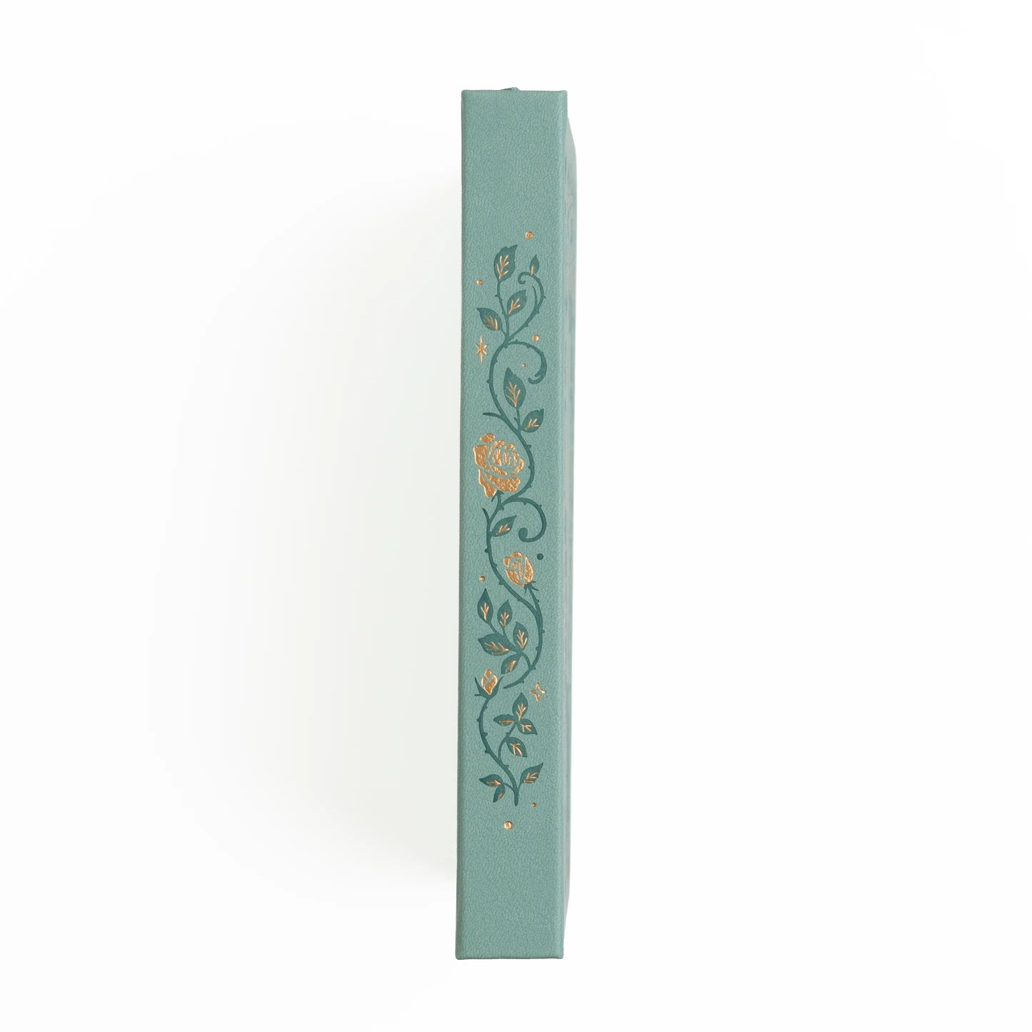 A5 Reading Journal: Books of Beauty