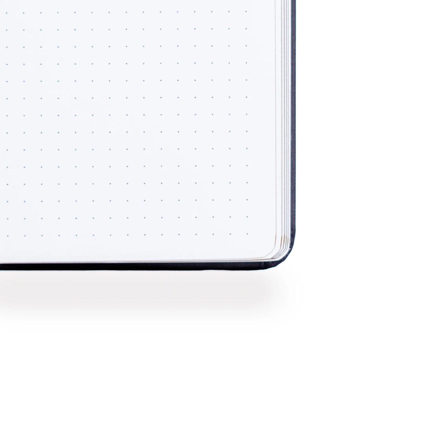 Archer and Olive Mushroom Monarch Green Frog Dot Grid Spring 2025 Collection Notebook