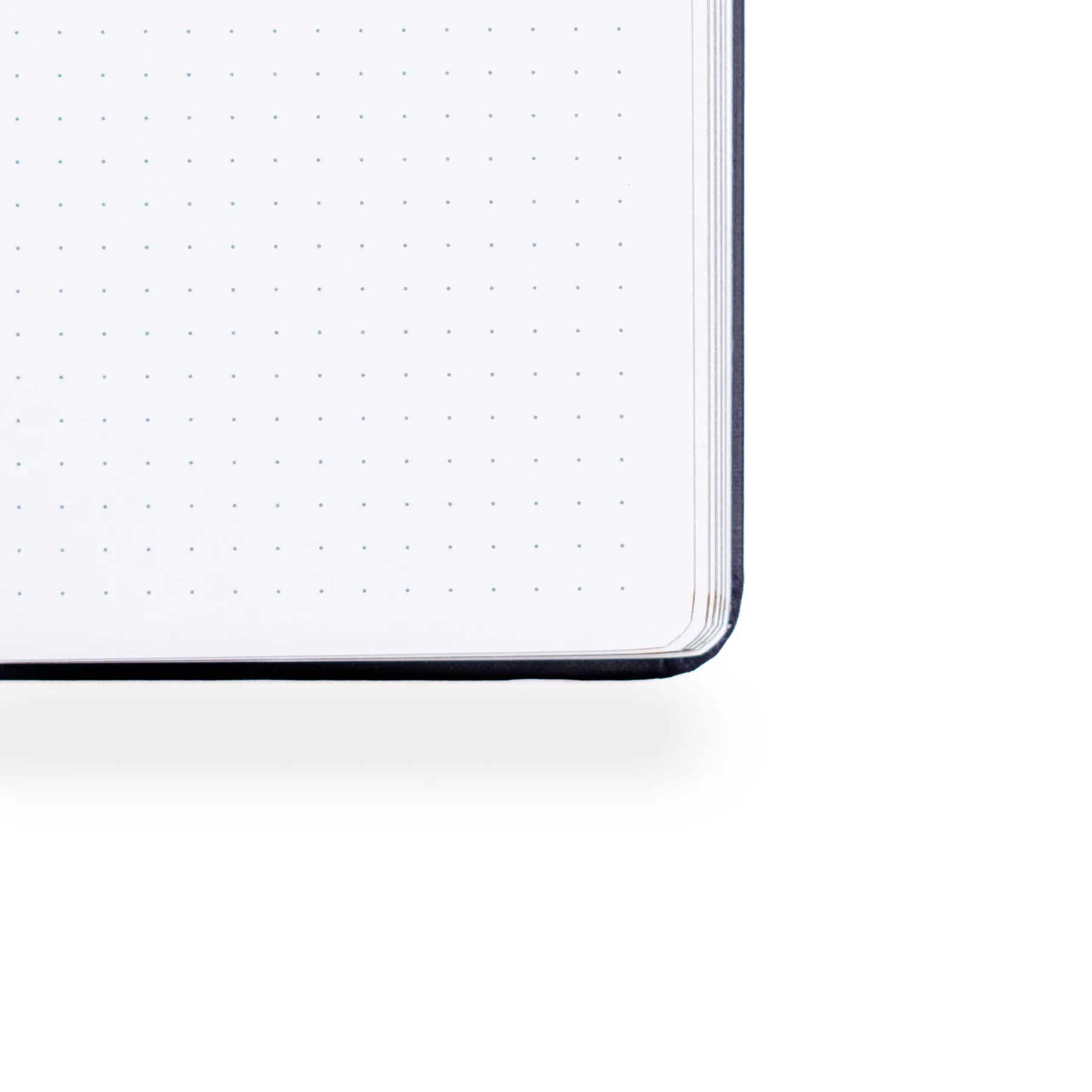 Archer and Olive Mushroom Monarch Green Frog Dot Grid Spring 2025 Collection Notebook