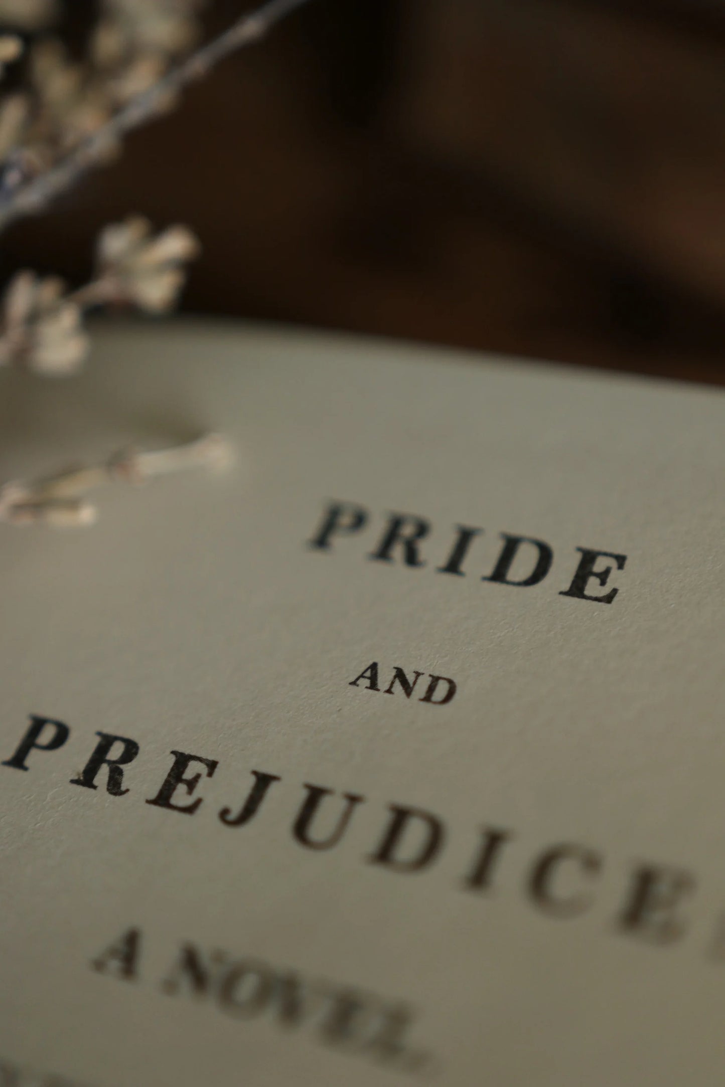 Pride & Prejudice Vintage Cover, Blank Journal