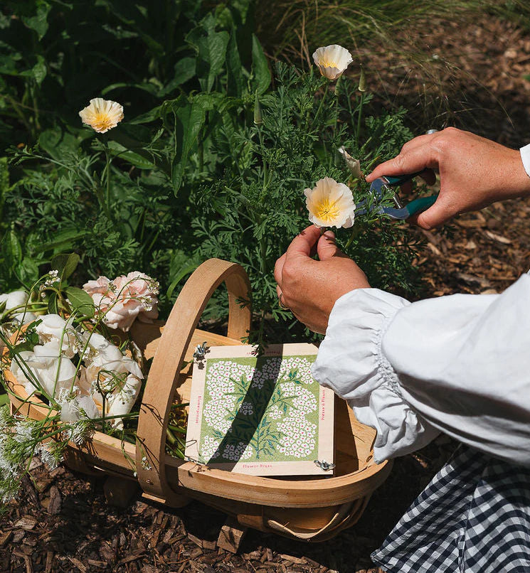 Flower Press - Forget Me Not