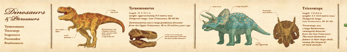 30mm Encyclopedia Dinosaur