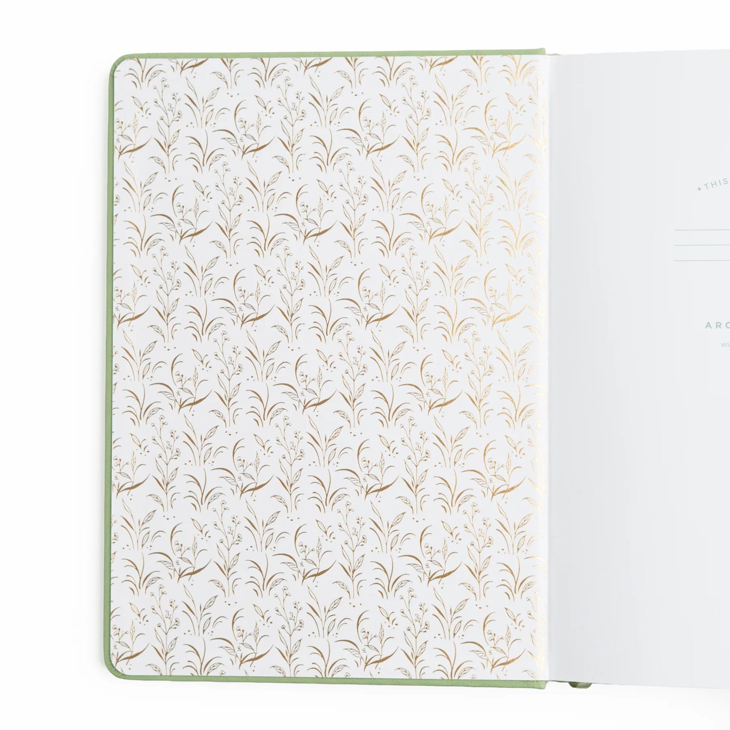 Special Edition | Turtle Notebook