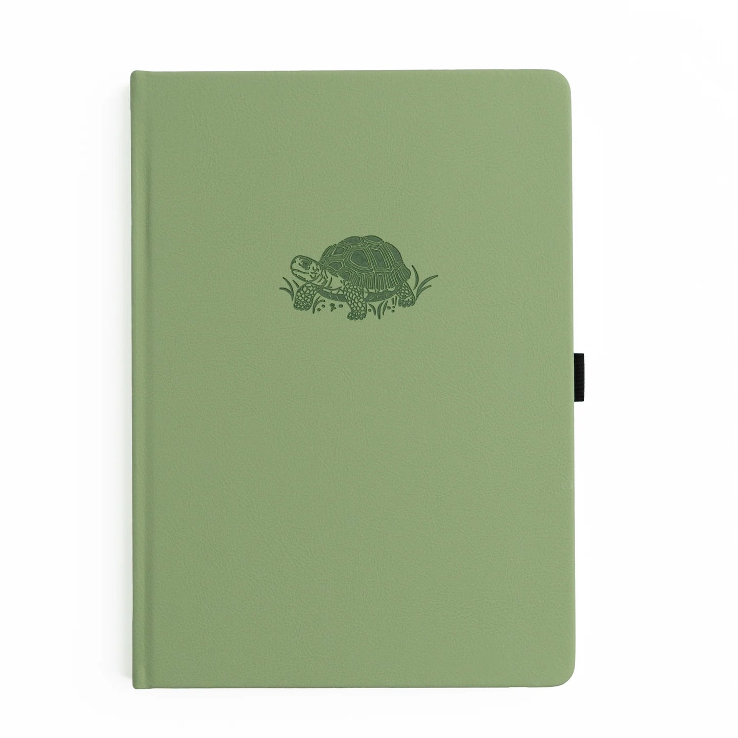 Special Edition | Turtle Notebook