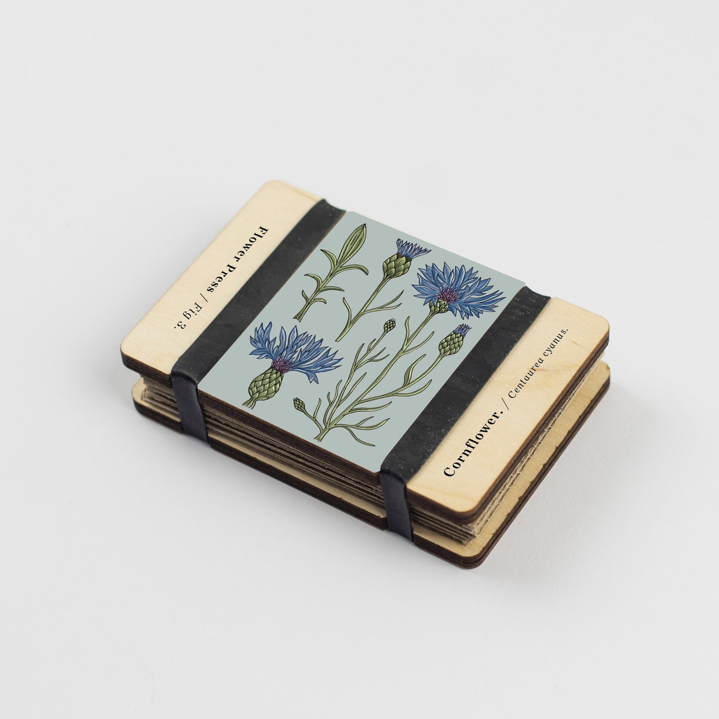 Pocket Flower Press - Cornflowers