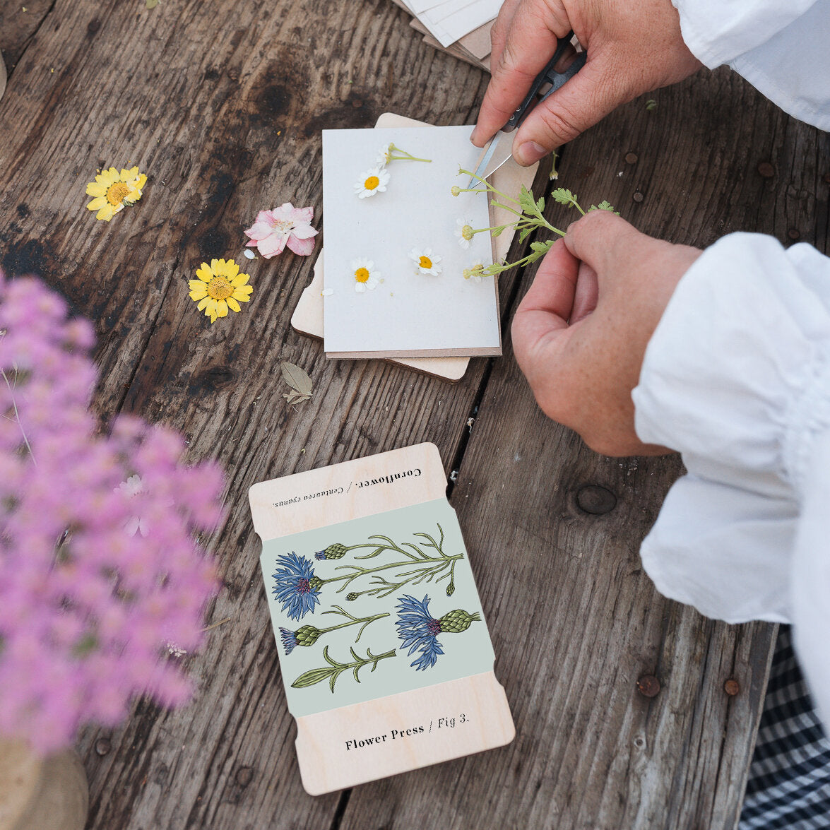 Pocket Flower Press - Cornflowers