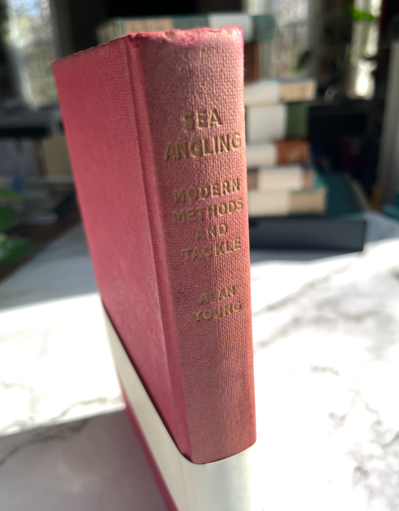 The Original About Blanks Sketch- & Notebook