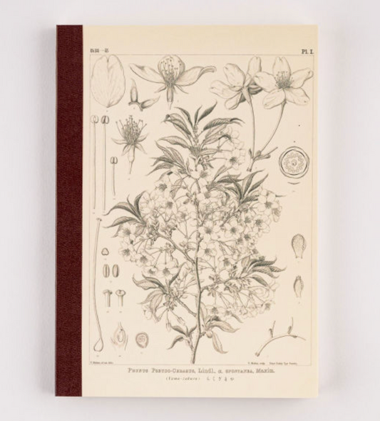 Hobonichi Techo Accessories Hobonichi Plain Notebook (A5) - Yamazakura