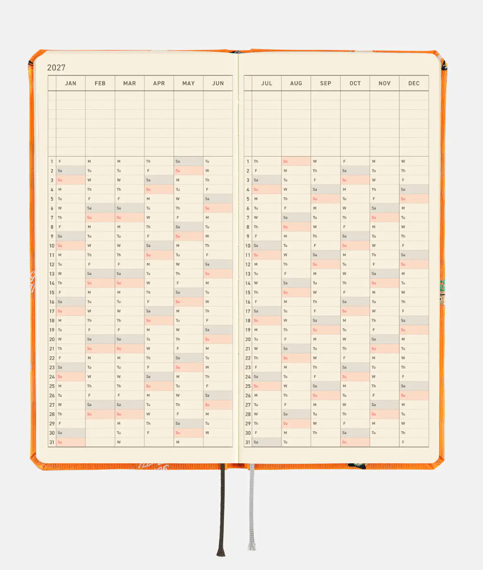 One Piece - Hobonichi Techo Weeks