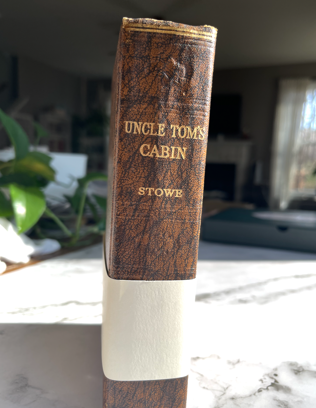 The Original About Blanks Sketch- & Notebook