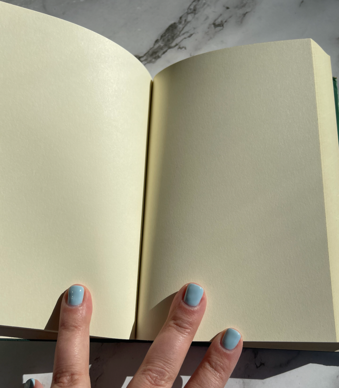 The Original About Blanks Sketch- & Notebook (Restocked 12/19/25)