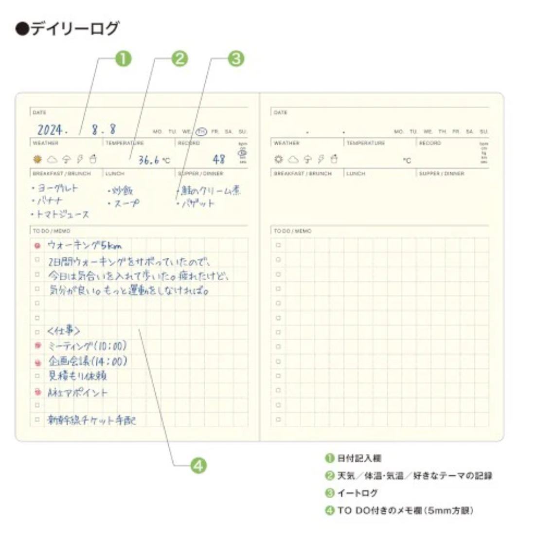 Today Pocket Log Diary