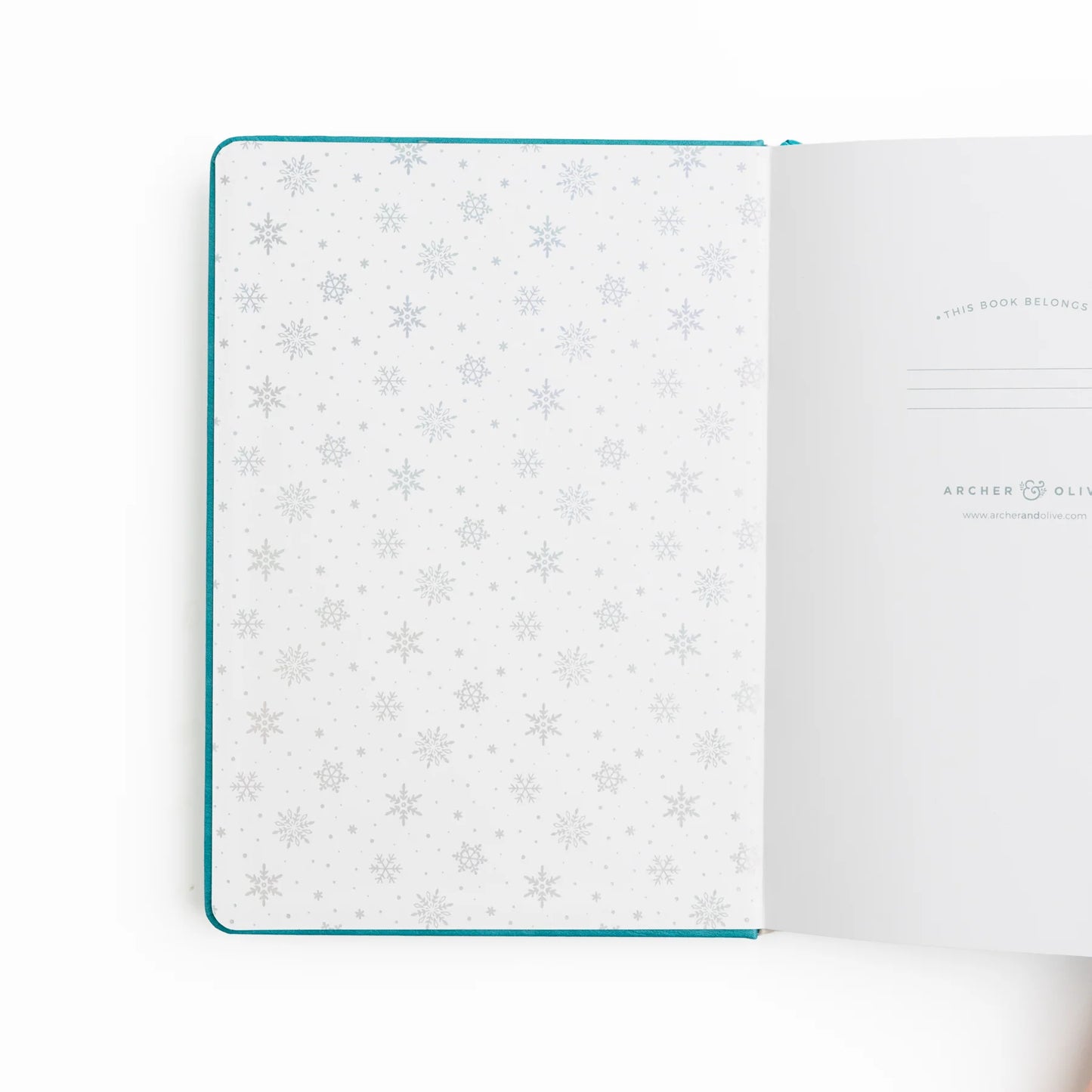 Frosted Storybook Notebook