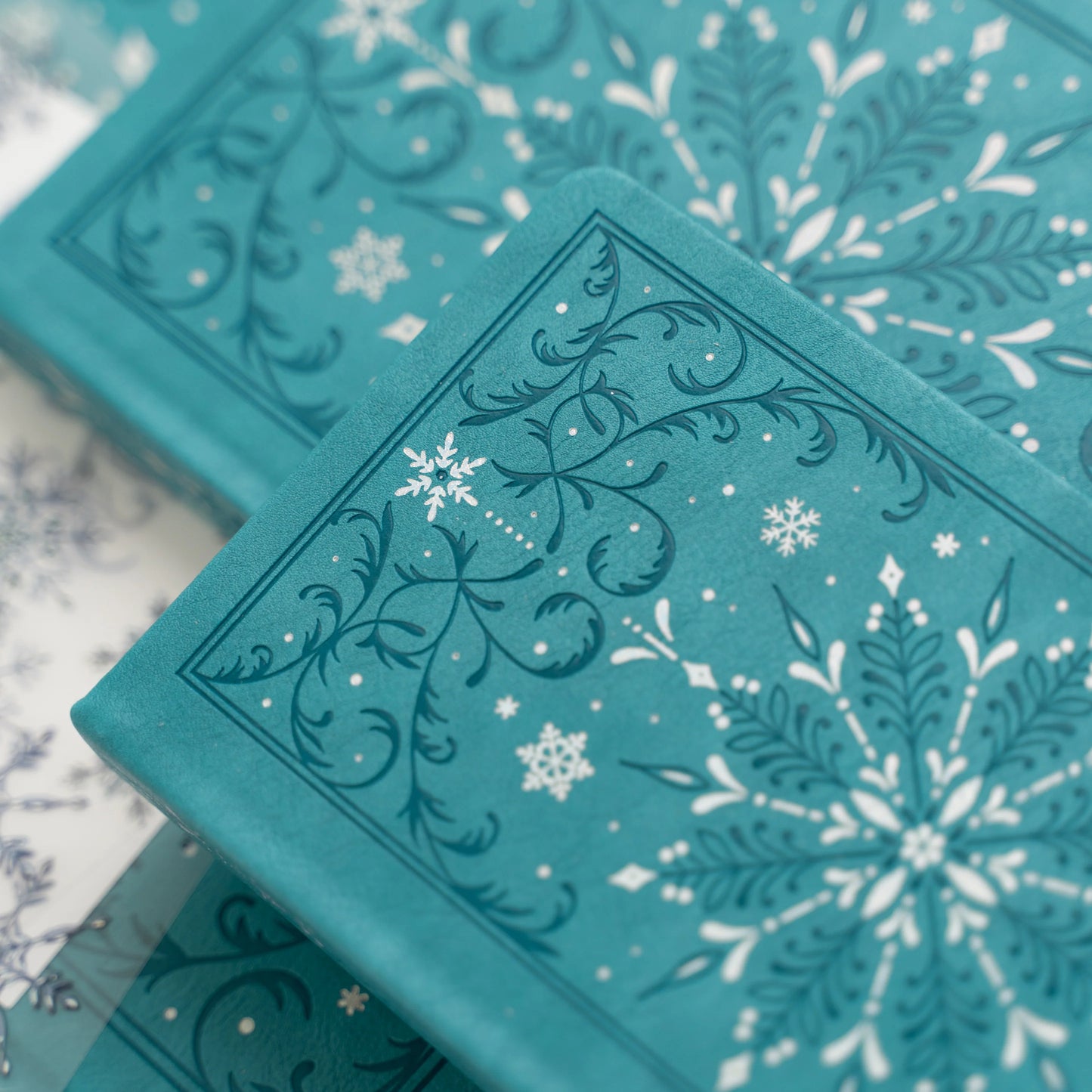 Frosted Storybook Notebook