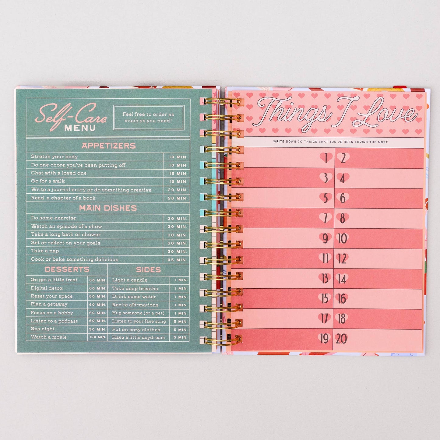 Medium 17-Month Academic Planner, Icons