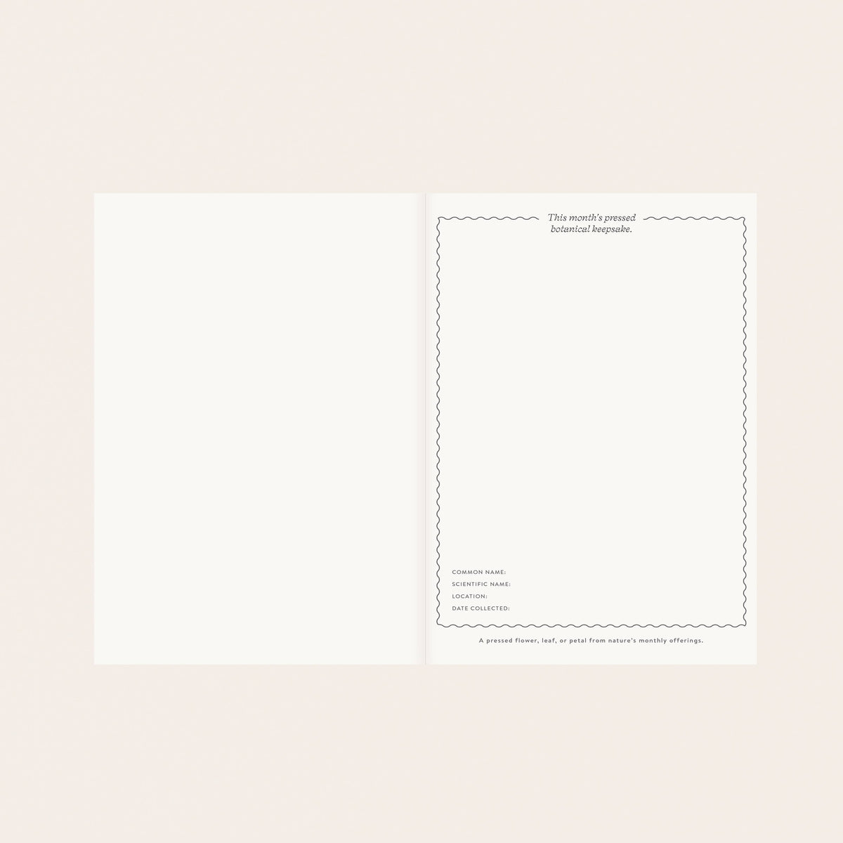 HERBARIUM | LINEN-BOUND UNDATED PLANNER