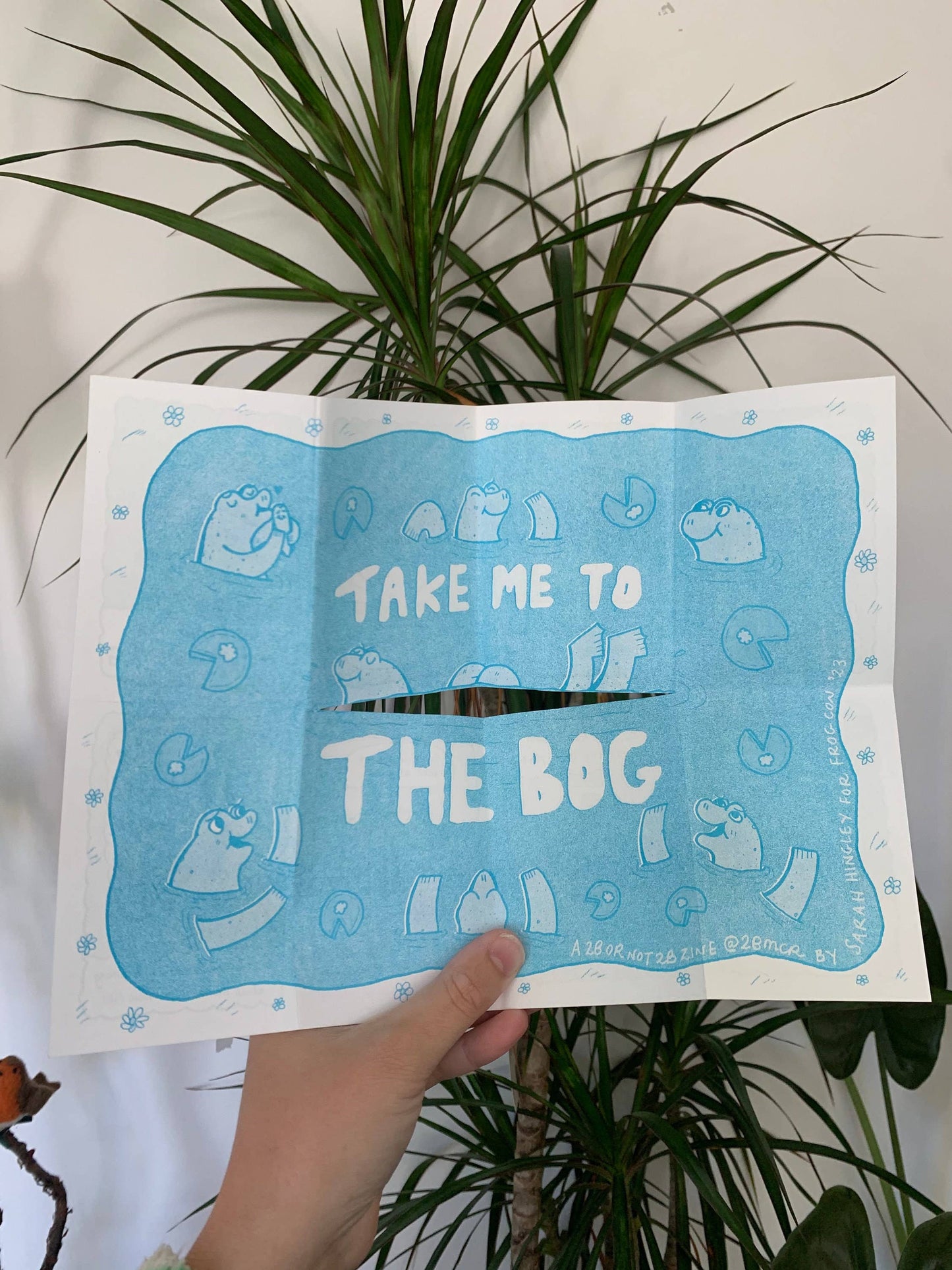 Six Signs You Might Be A Frog Riso Zine A7 MIXED COLOURS