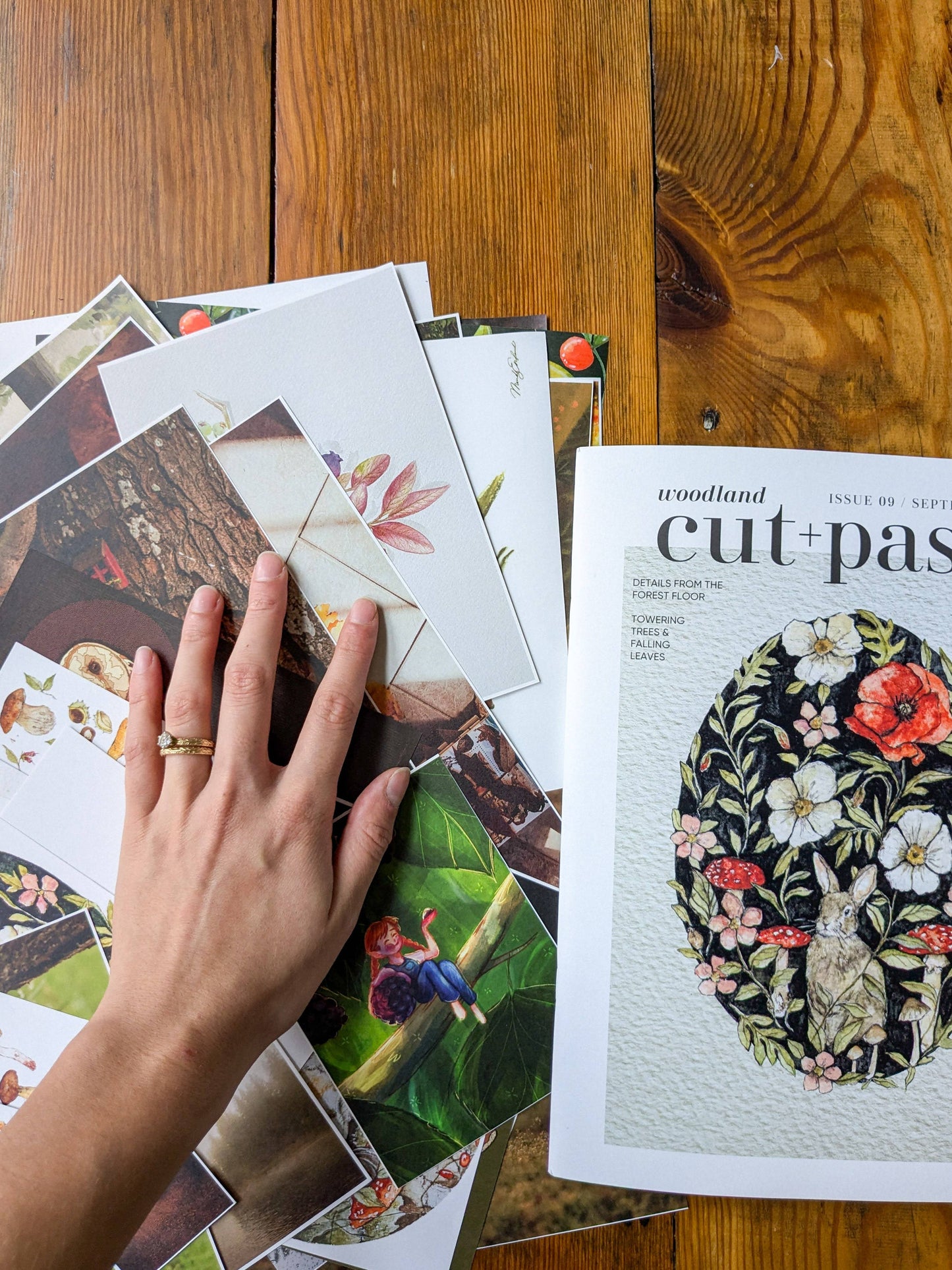 Cut + Paste: "Woodland" - Issue 09