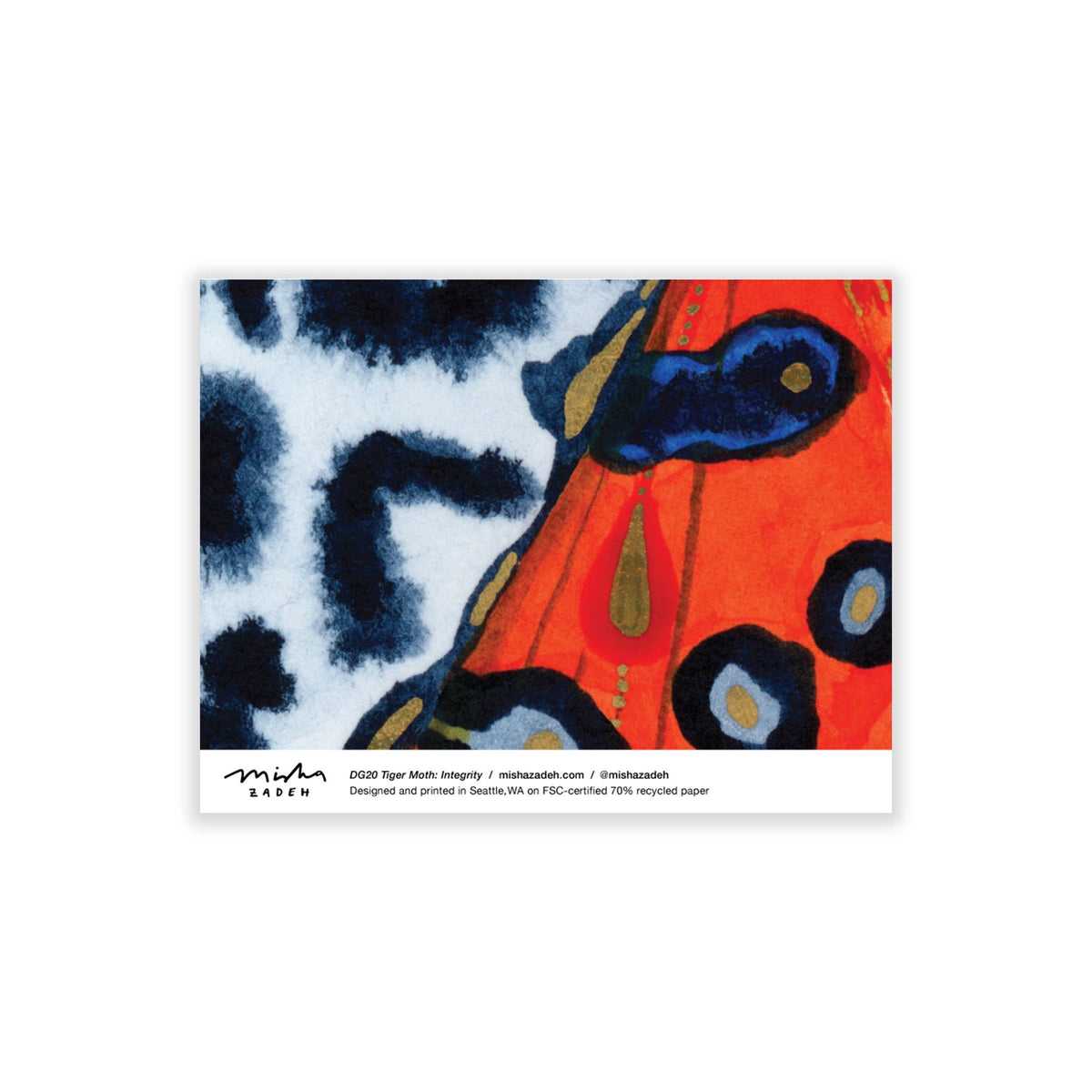 Bugs & Butterflies: Series 1, Boxed Set of 8 Note Cards, 2 each of 4 designs