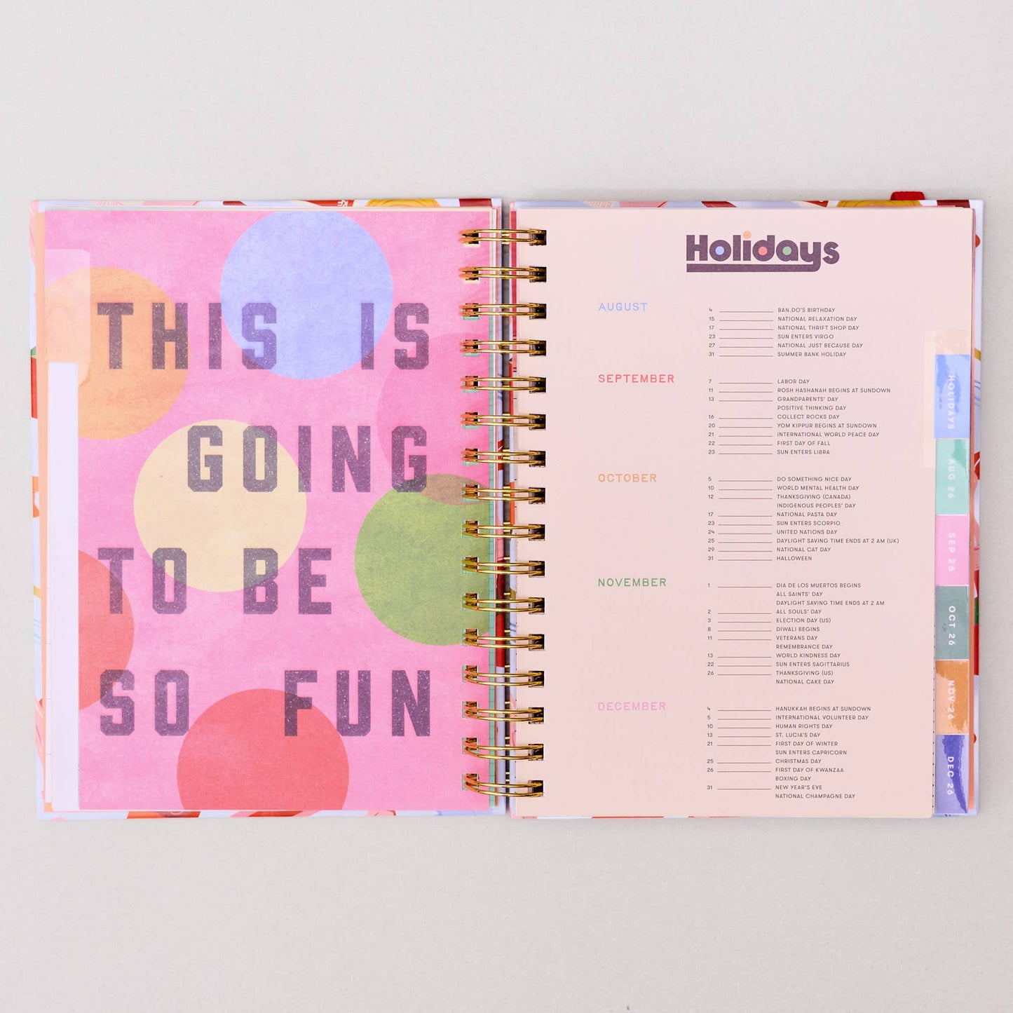 Medium 17-Month Academic Planner, Icons