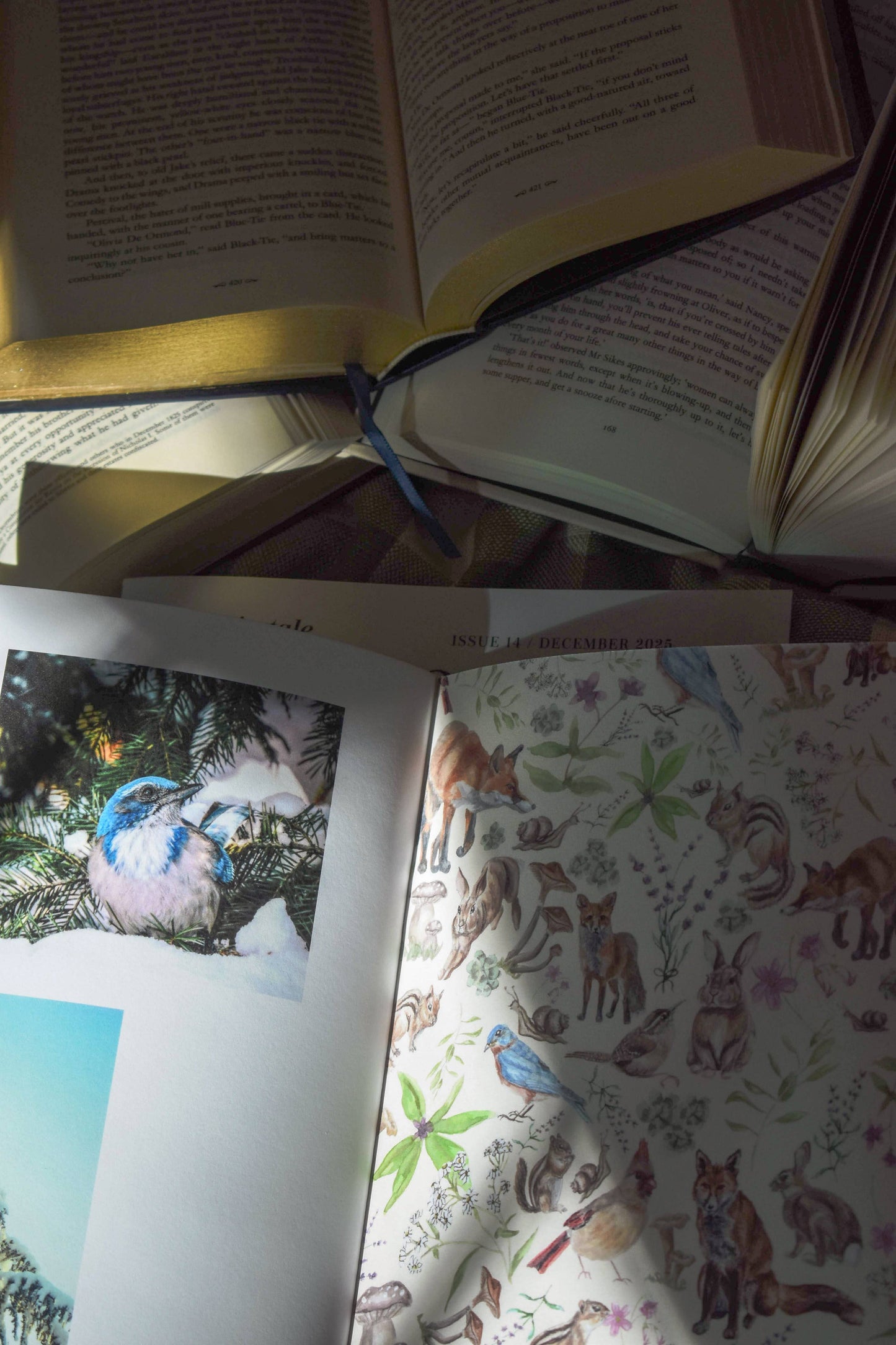 Cut + Paste: "Fairytale" - Issue 14