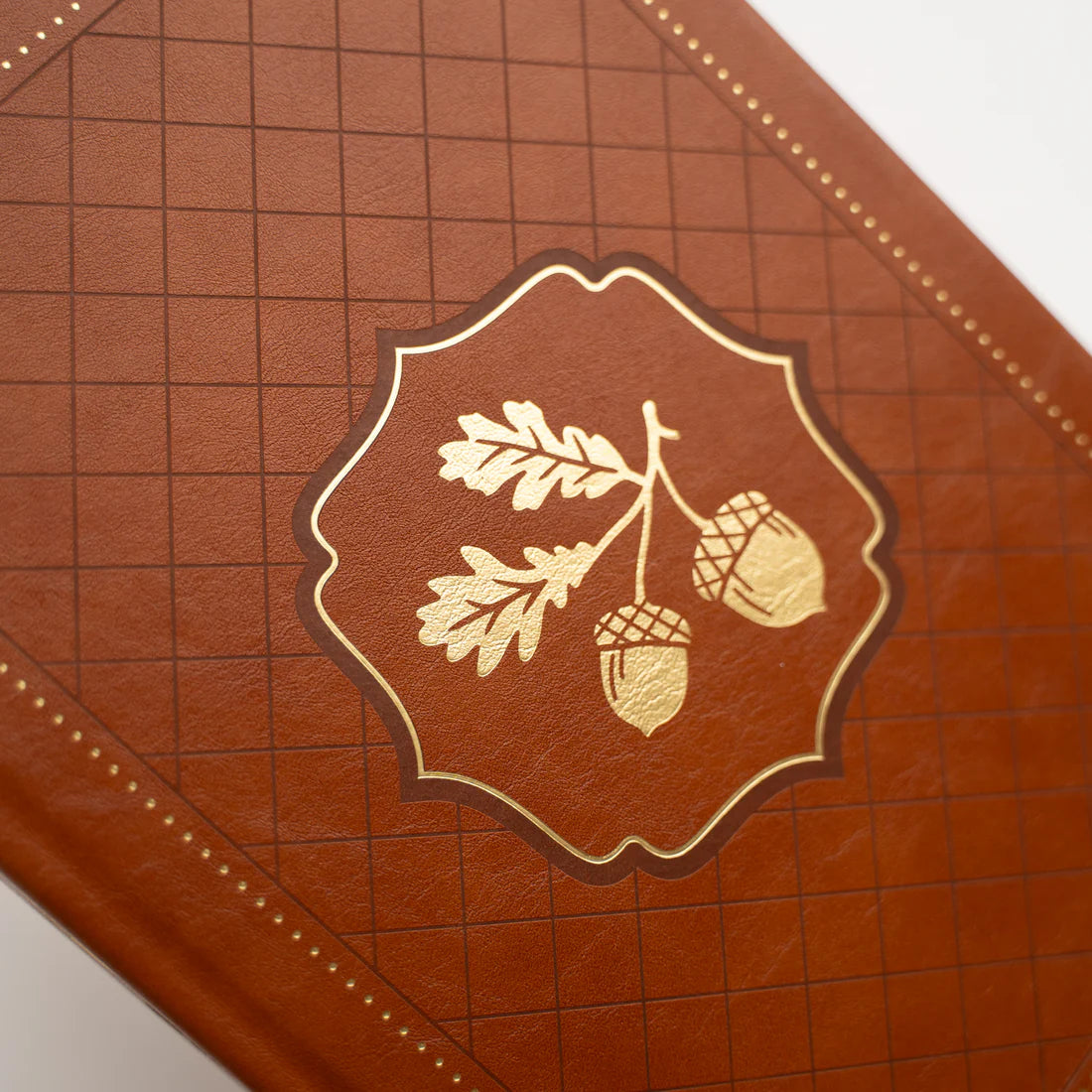 Acorns Dot Grid Notebook in B5