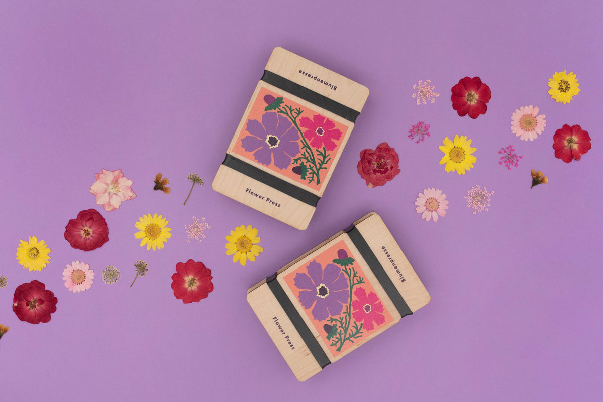 Pocket Flower Press - Cosmos