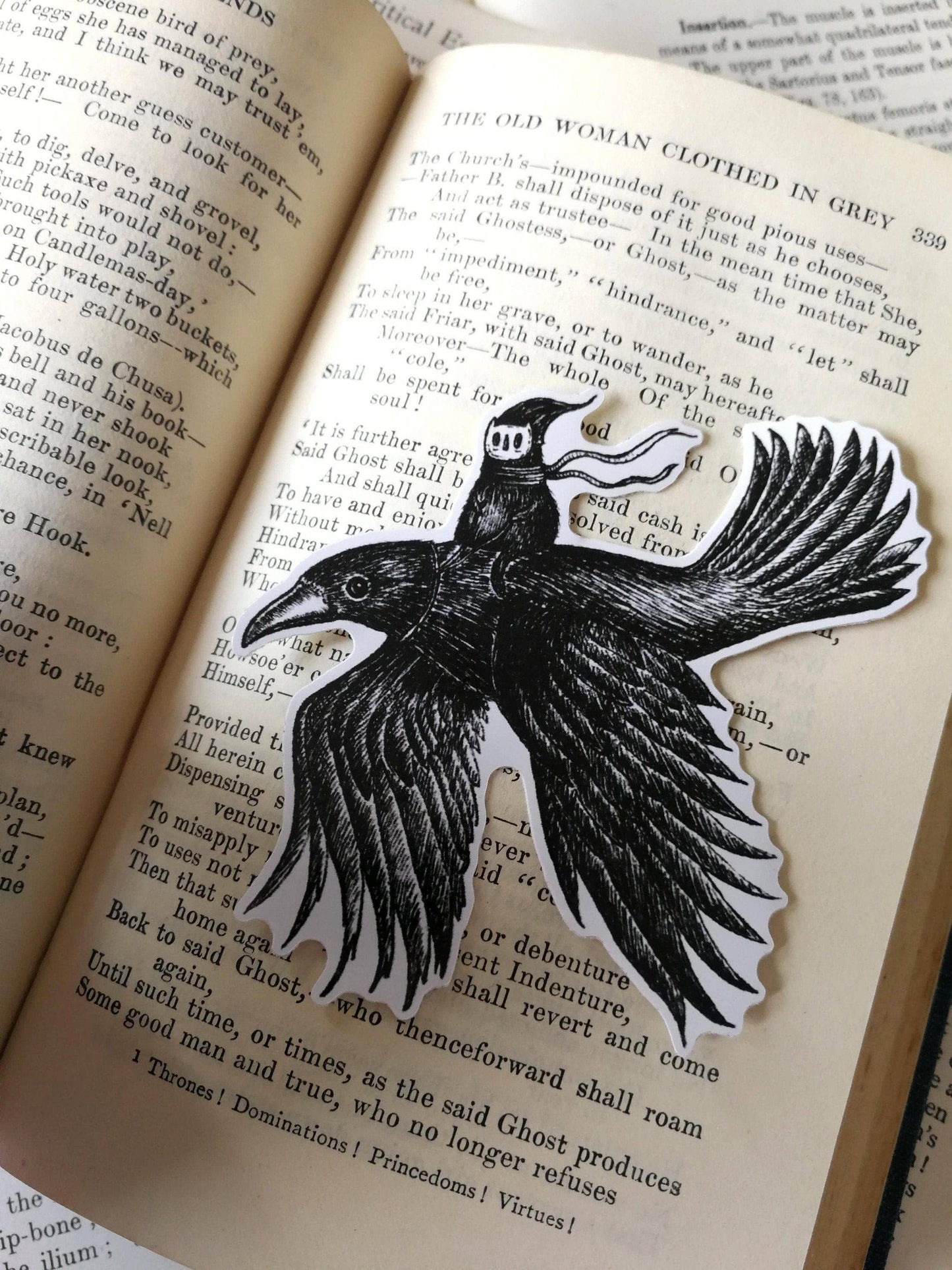 Crow Rider Vinyl Sticker