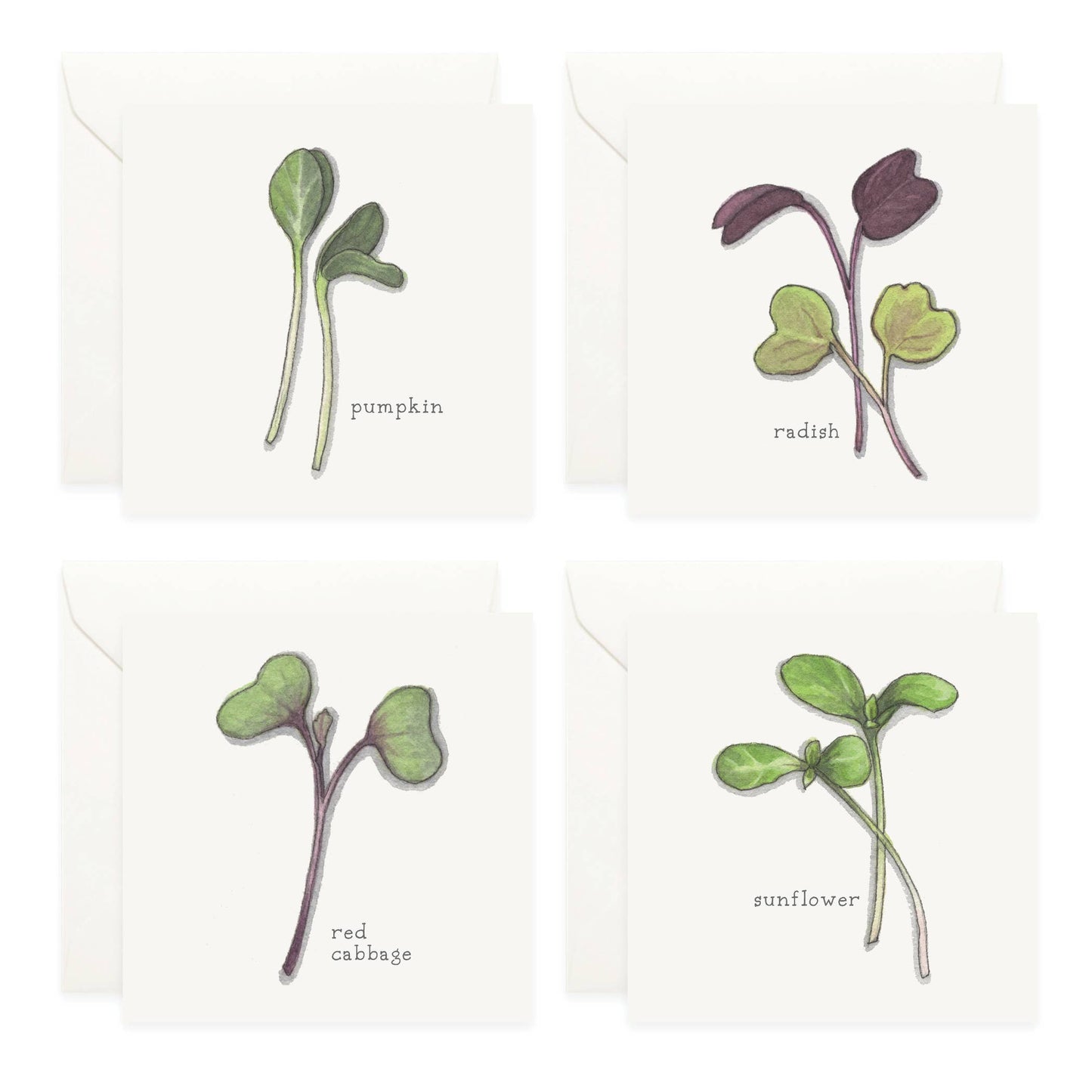 Mini Cards Set / Vegetables . Sprouts & Microgreens