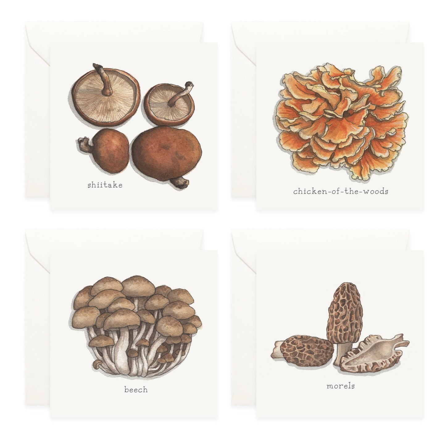 Mini Cards Set / Mushrooms