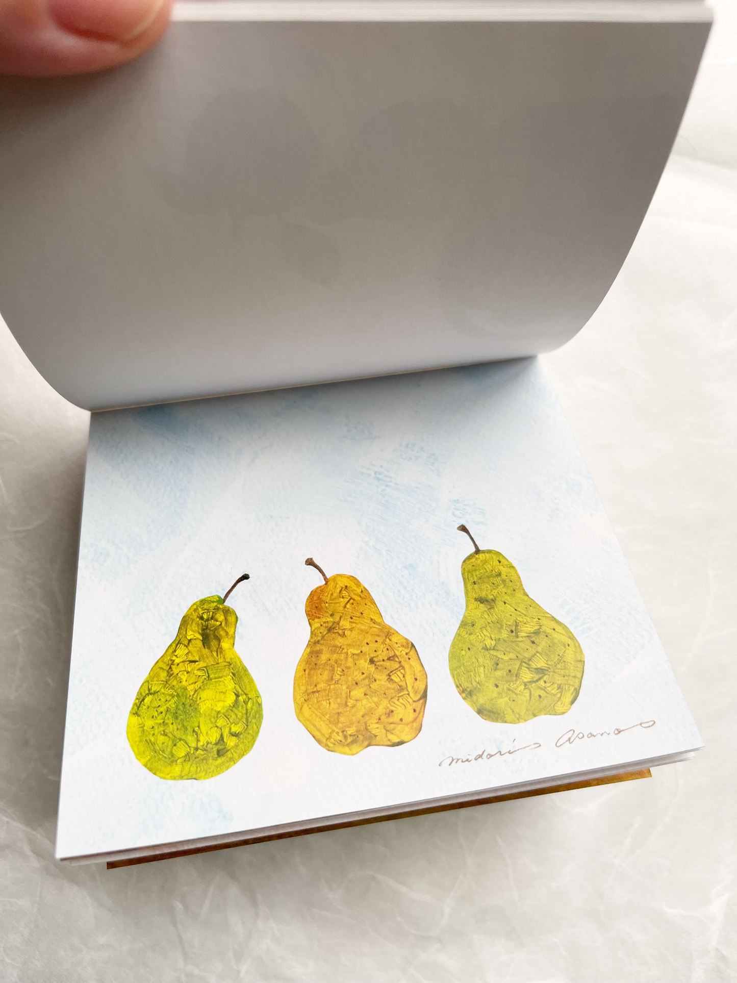 Fruits Square Memo Pad