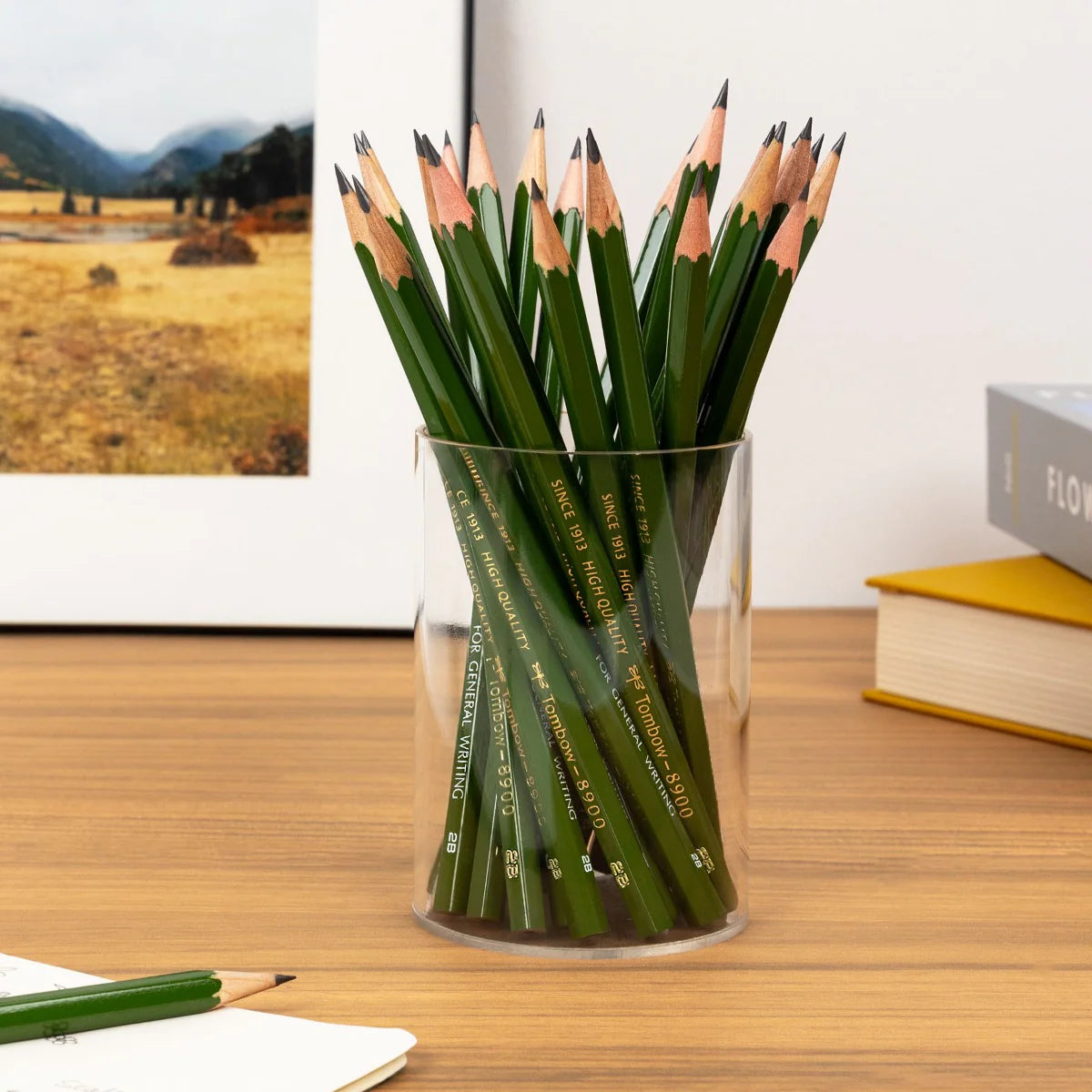 Tombow 8900 Pencils - Set of 12